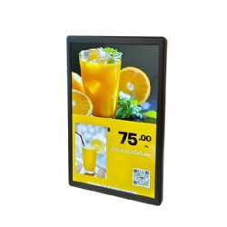 Single Screen 10.1inch Electronic Price Tag Smart Signage for Supermarket